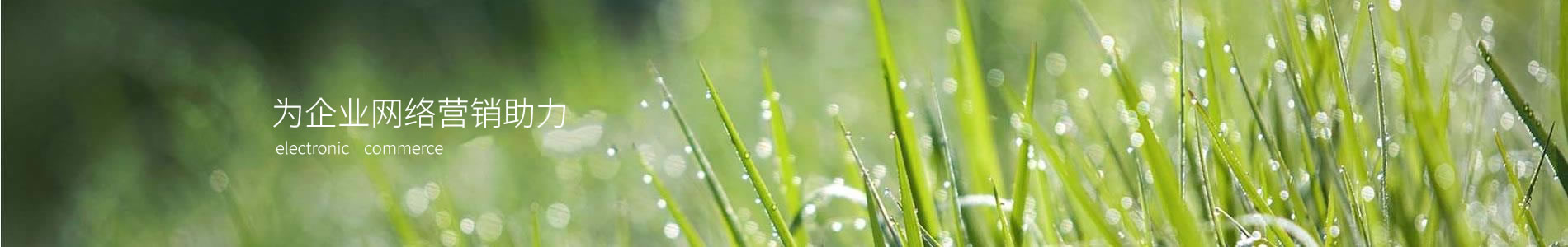 ڵӿƼι˾